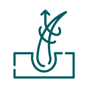 Tricologo